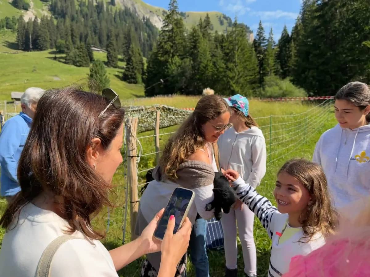 Ihre Fotos, gratis