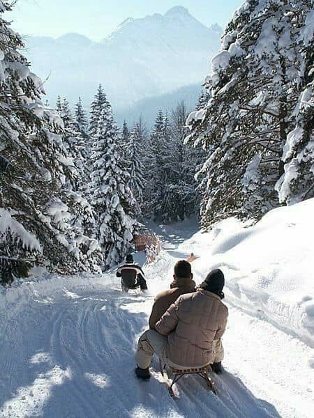 Day Sledding - Interlaken