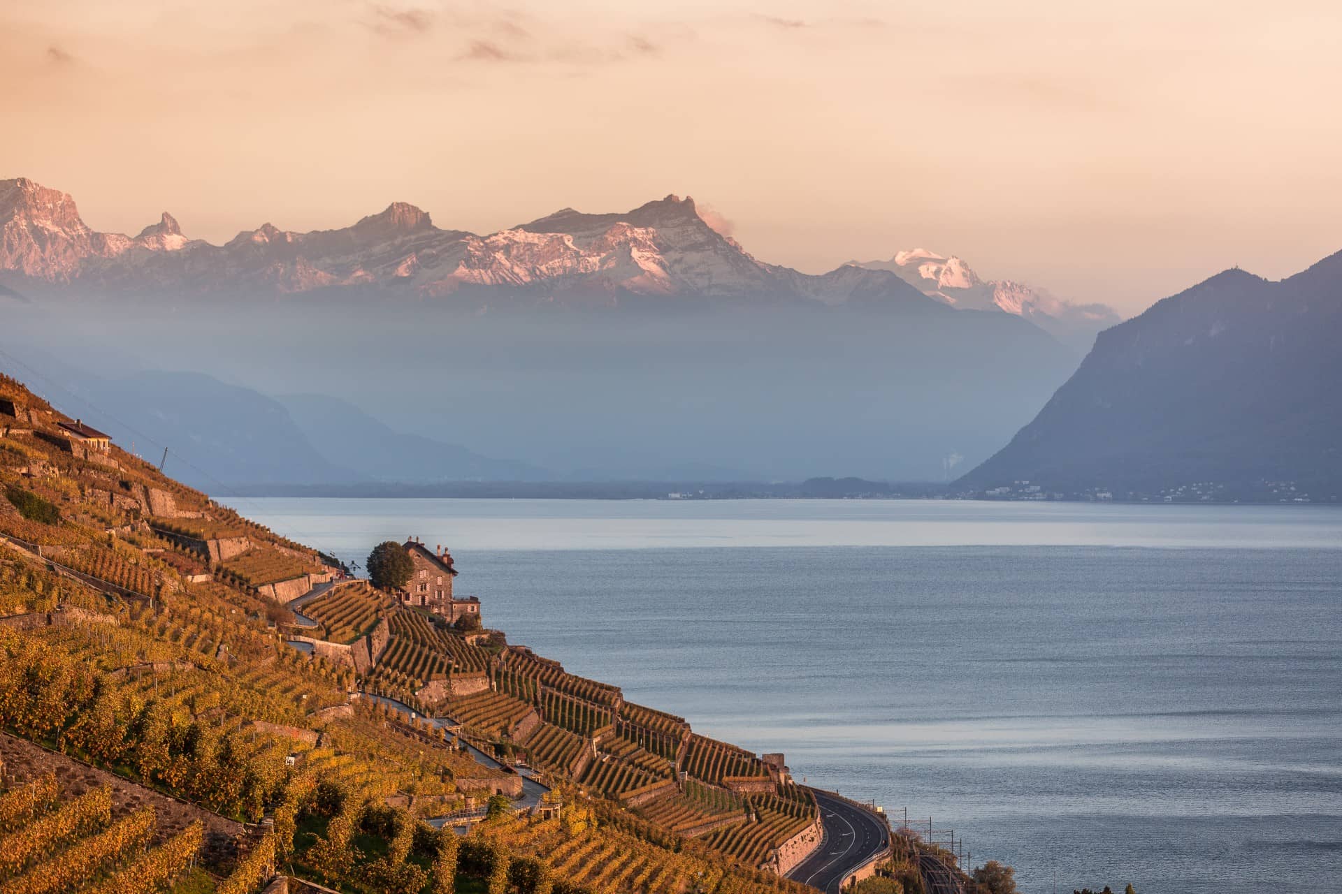 Best Wine Regions in Switzerland: Lavaux to Spiez