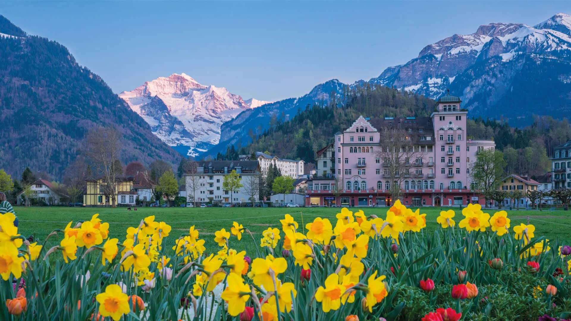 Höhematte Interlaken: Why It Stayed a Meadow