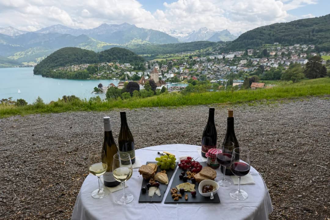 Wine and cheese tasting above Lake Thun with Spiez Castle, Alpine Weinkultur wine tour from Interlaken