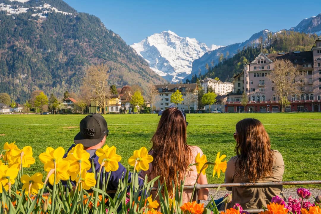 Tres turistas admirando la vista de la Jungfrau desde el borde de la Höhematte en primavera, con los narcisos en flor