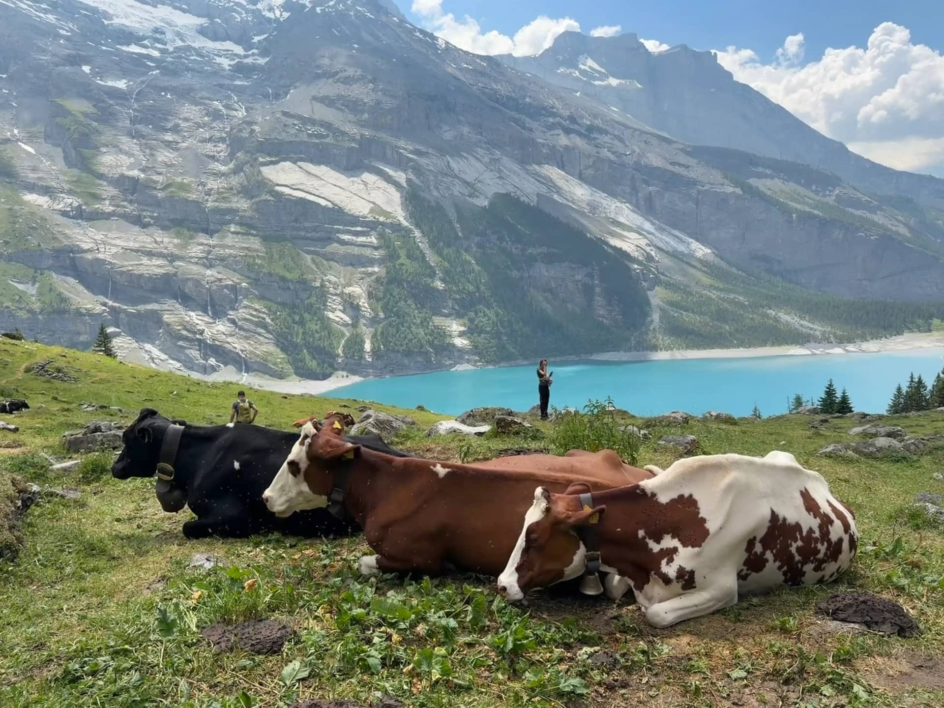 Ist die Farm Tour Interlaken die CHF 149 wert?