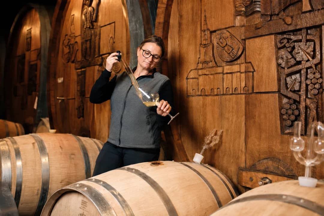 Winemaker sampling white wine from a barrel with a pipette in the Spiez cellar