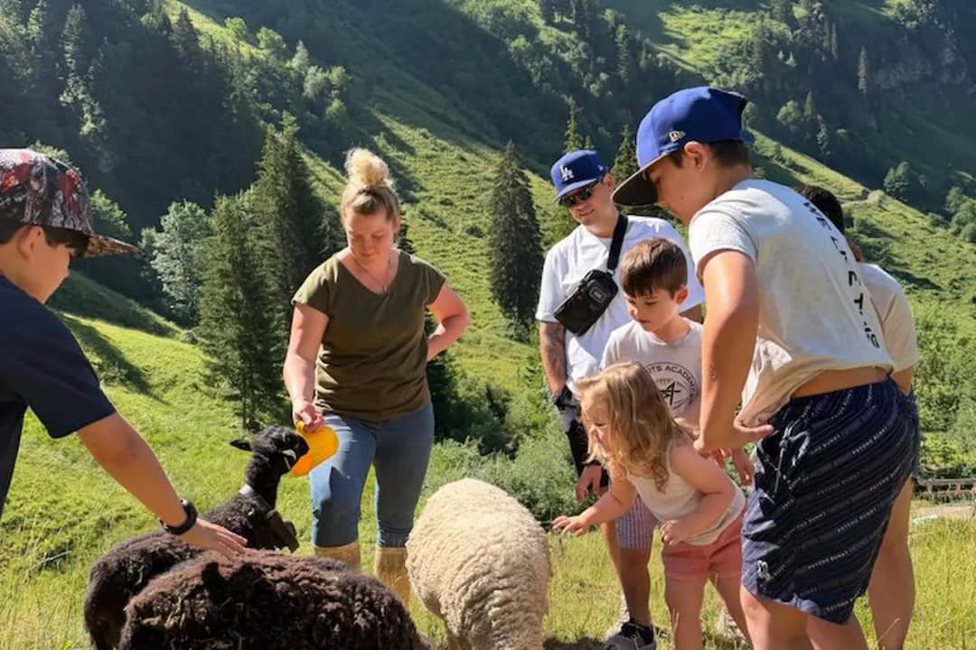 Daniela feeding the sheep while children of all ages gather round to pet them on an alpine pasture
