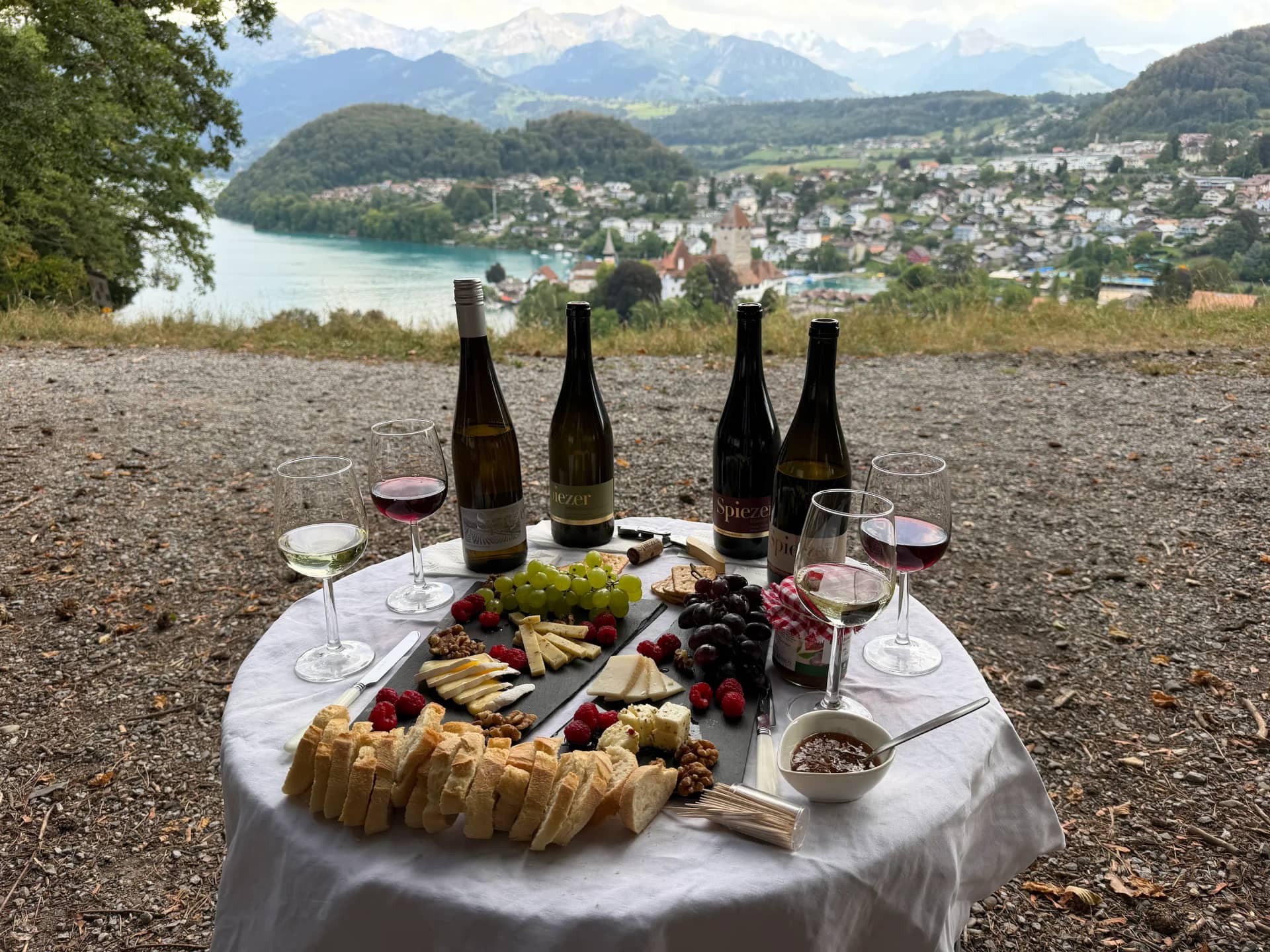 Wine Tasting in Interlaken: 6 Real Options