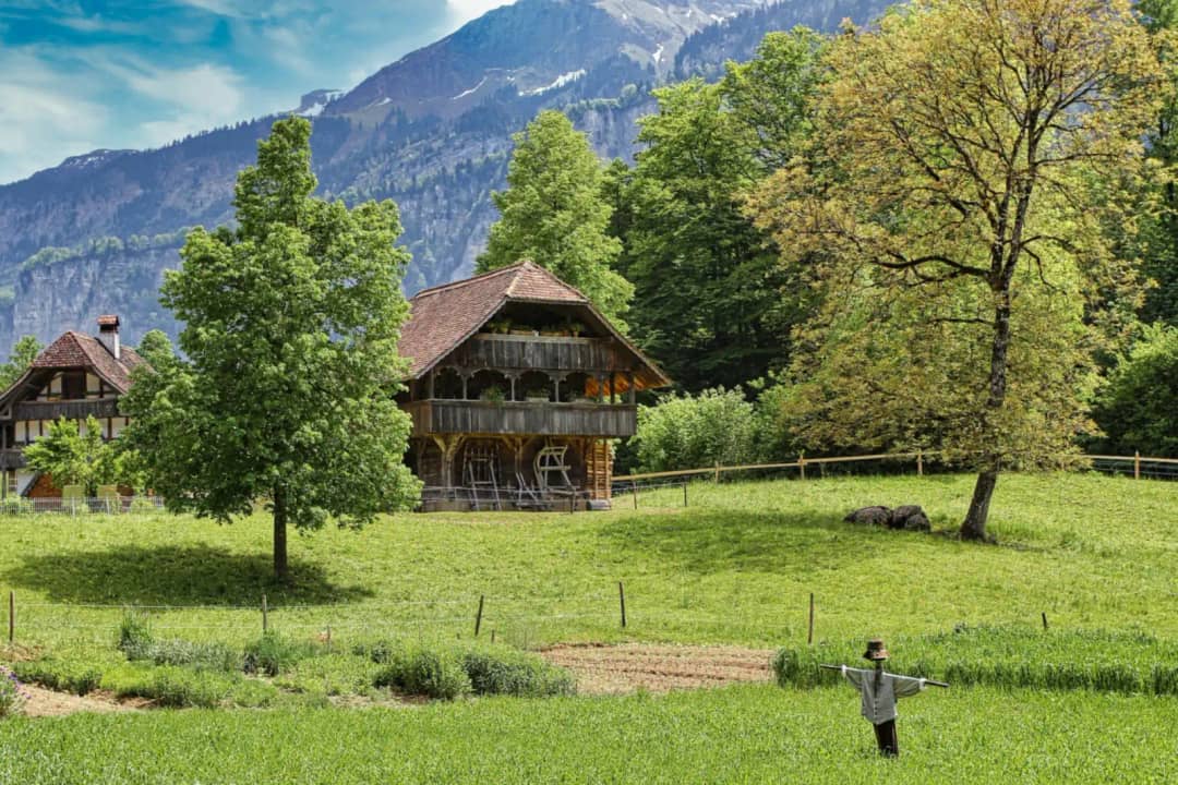 Old wooden farmhouse among trees and a green meadow with a scarecrow below forested mountains in summer