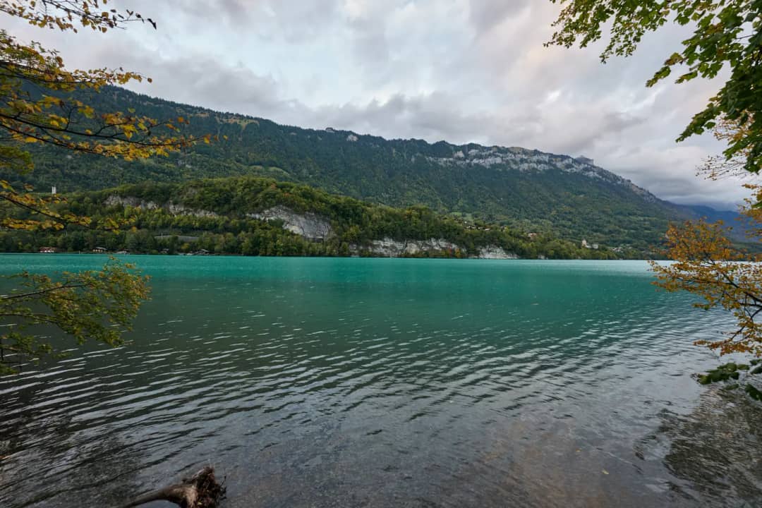 Gekräuseltes, türkisfarbenes Wasser des Brienzersees vom Ufer in Bönigen aus, unter grauem Herbsthimmel