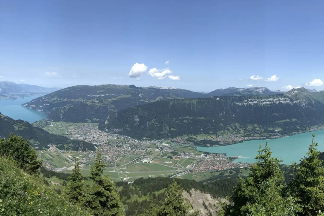 Das Bödeli zwischen Thuner- und Brienzersee, gesehen von einem bewaldeten Berghang an einem Sonnentag