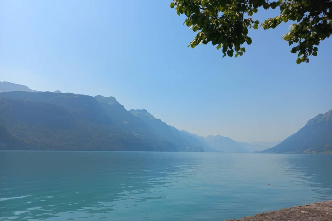 Dunstiges, türkisfarbenes Wasser des Brienzersees zwischen steilen Bergen, vom Seeufer in Brienz aus