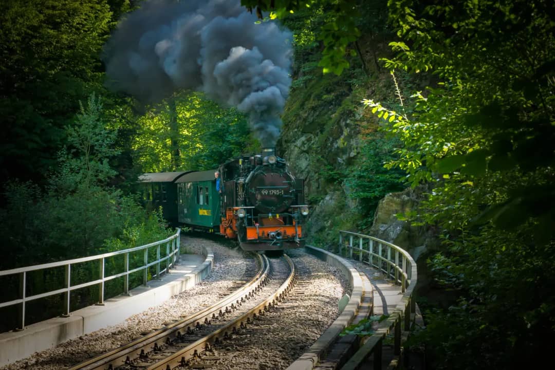 Grüne Dampflok stösst schwarzen Rauch aus und schiebt Wagen durch eine Kurve der Zahnradbahn im Wald