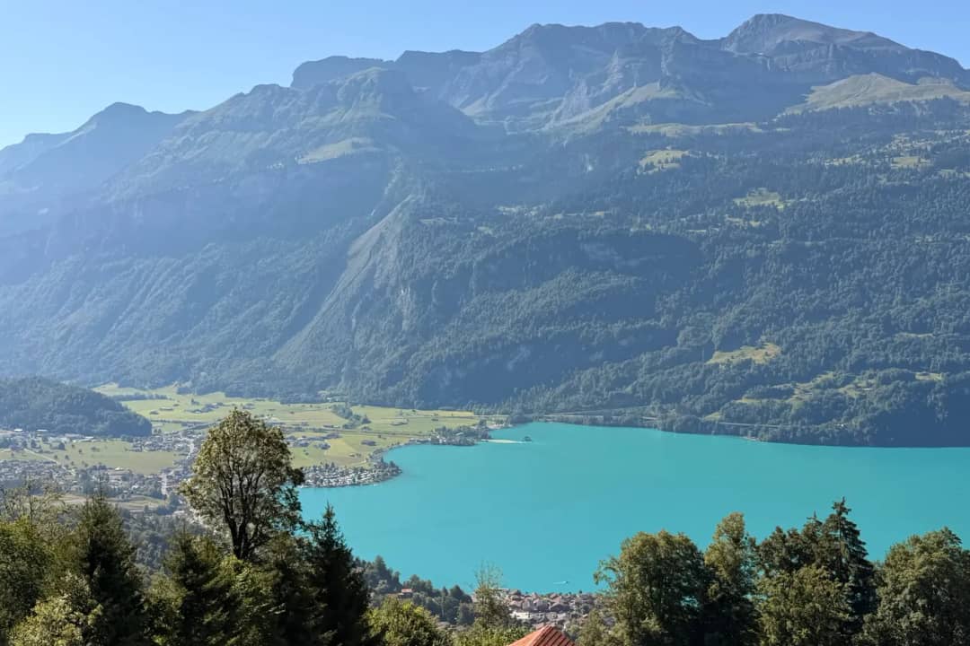Der türkisfarbene Brienzersee unter einem langen Bergkamm, über Baumwipfel hinweg an einem klaren Sommertag