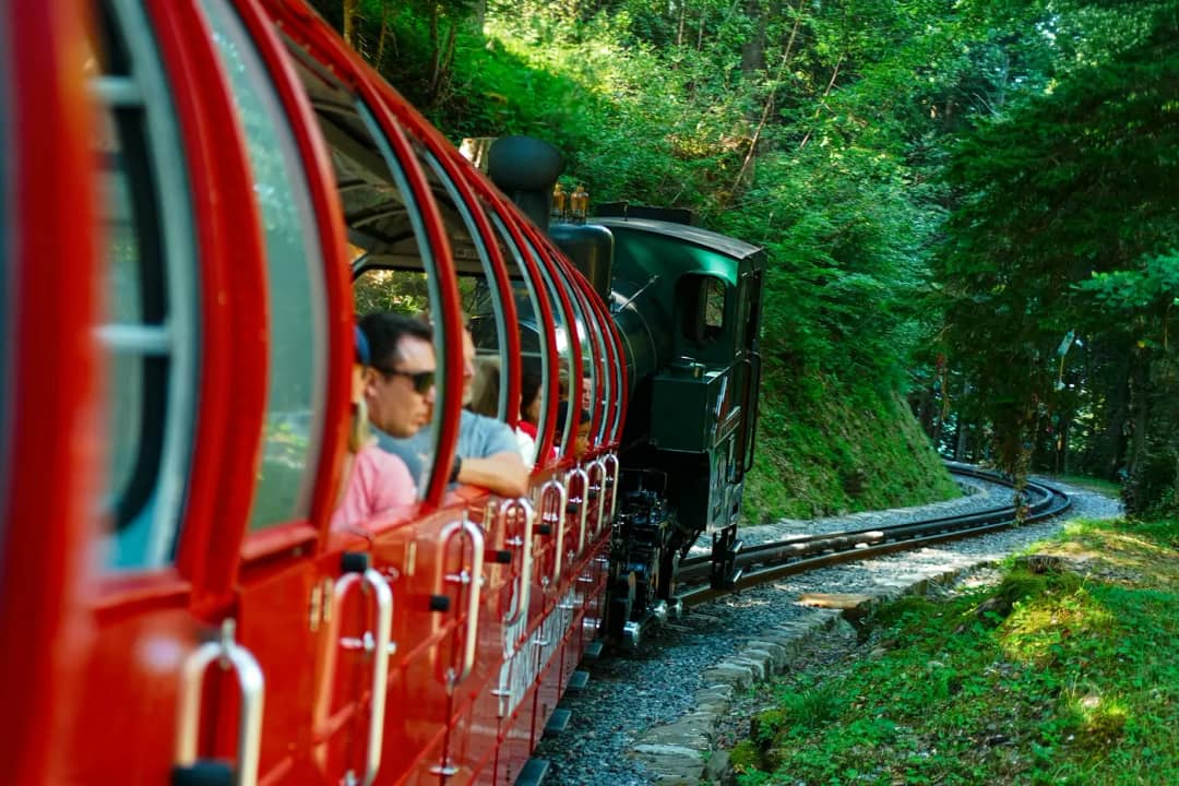 Rote offene Wagen, geschoben von einer grünen Dampflok, auf einer kurvigen Zahnradbahn durch den Wald