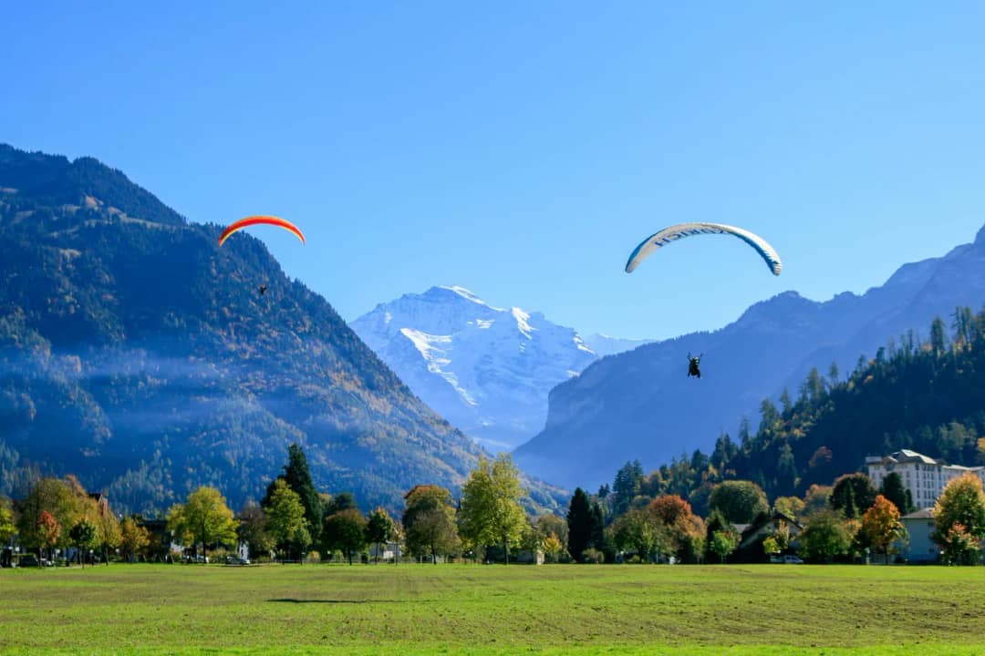 Zwei Gleitschirme sinken zur Höhematte in Interlaken hinab, in der Ferne ist die verschneite Jungfrau