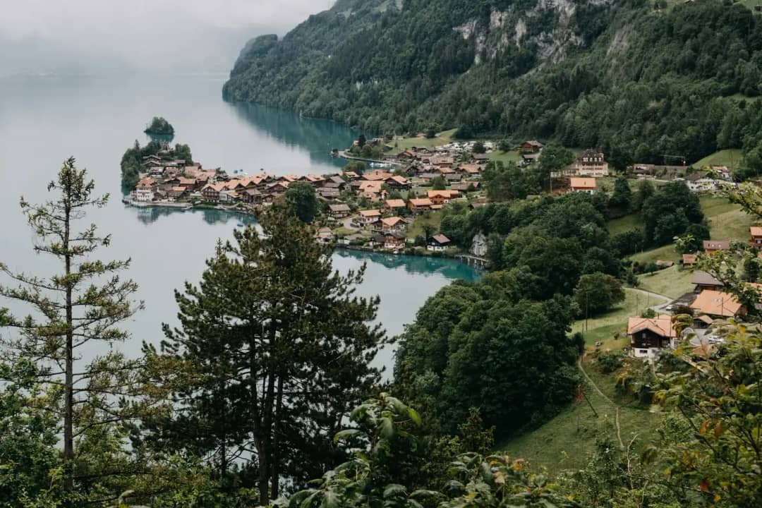 Iseltwald und seine kleine Halbinsel, durch Kiefern vom bewaldeten Hang über dem Brienzersee gesehen