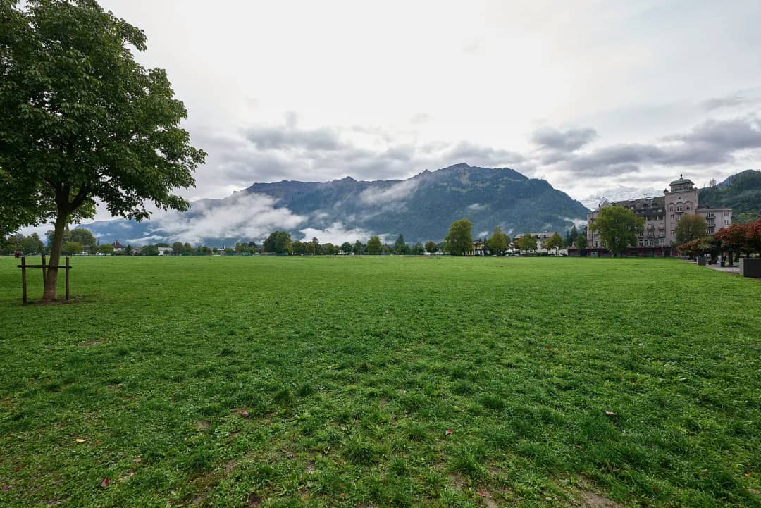 La amplia pradera de la Höhematte de Interlaken con un árbol solitario, hoteles al borde y nubes en otoño