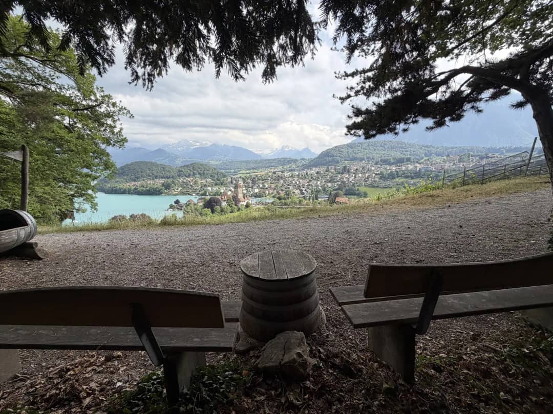 Holzbänke unter einem Baum am Aussichtspunkt über der Bucht von Spiez, freie Zeit am Ende der Weintour