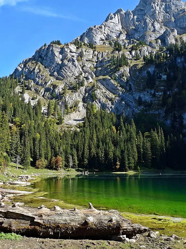Grüner Bergsee unter hohen Kalkfelswänden und Fichtenwald, fotografiert auf der Axalp über dem Brienzersee