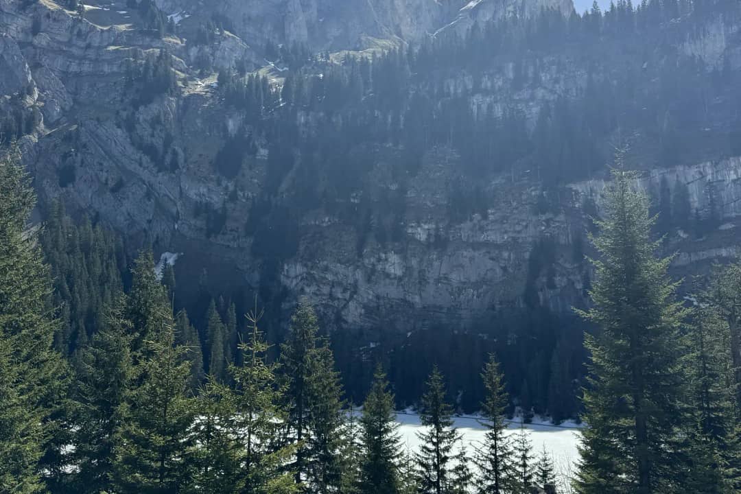Fichtenwald über dem Hinterburgseeli Anfang Mai, unten der gefrorene See und ein sonniger Felsgipfel