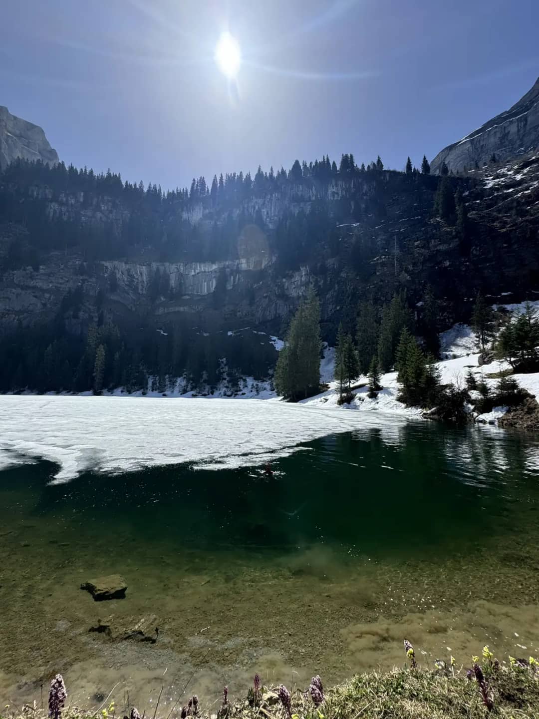 Schwimmer im grünen Wasser des Hinterburgseeli neben einer Eisfläche, auf einer unserer Touren im Mai 2025