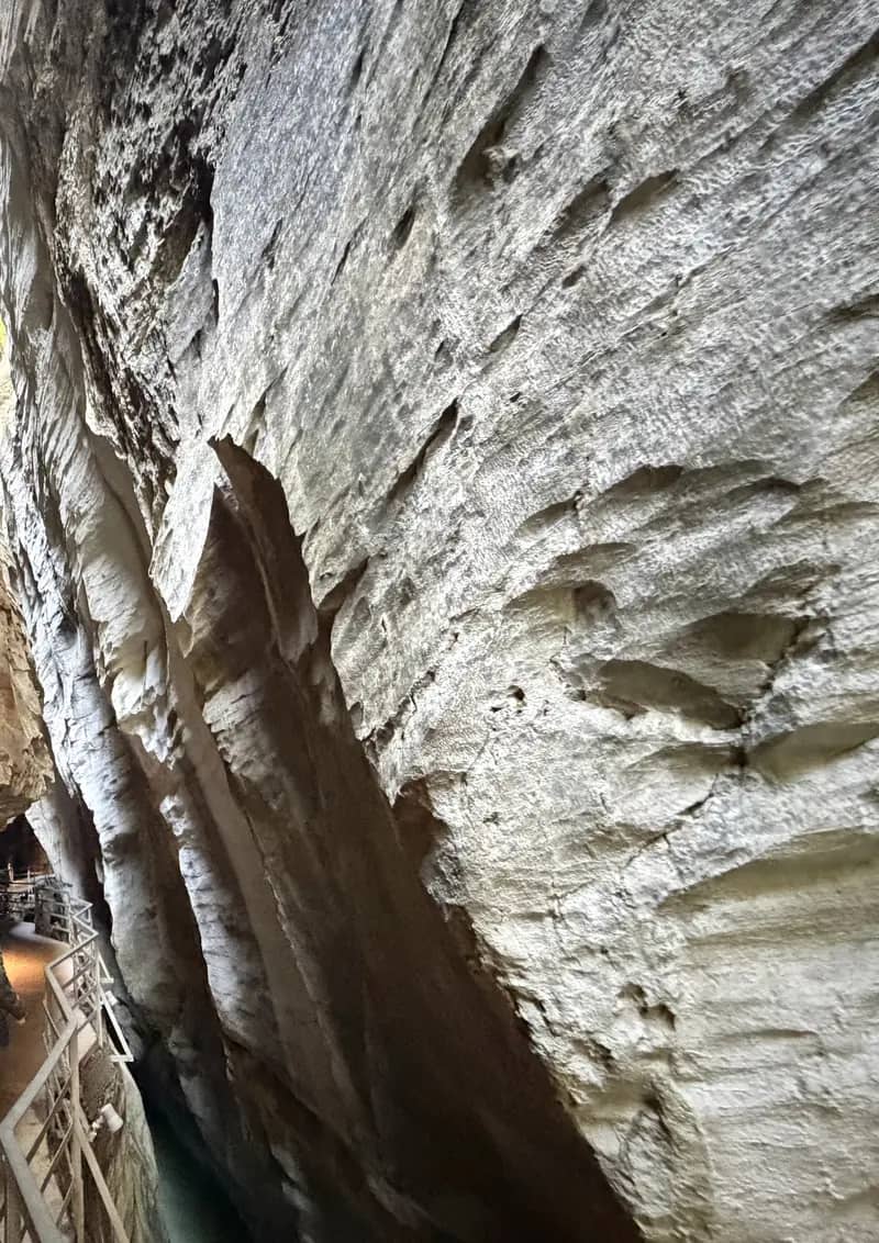 Railed walkway squeezed between smooth, wet limestone walls inside the Aare Gorge on a day trip to Meiringen