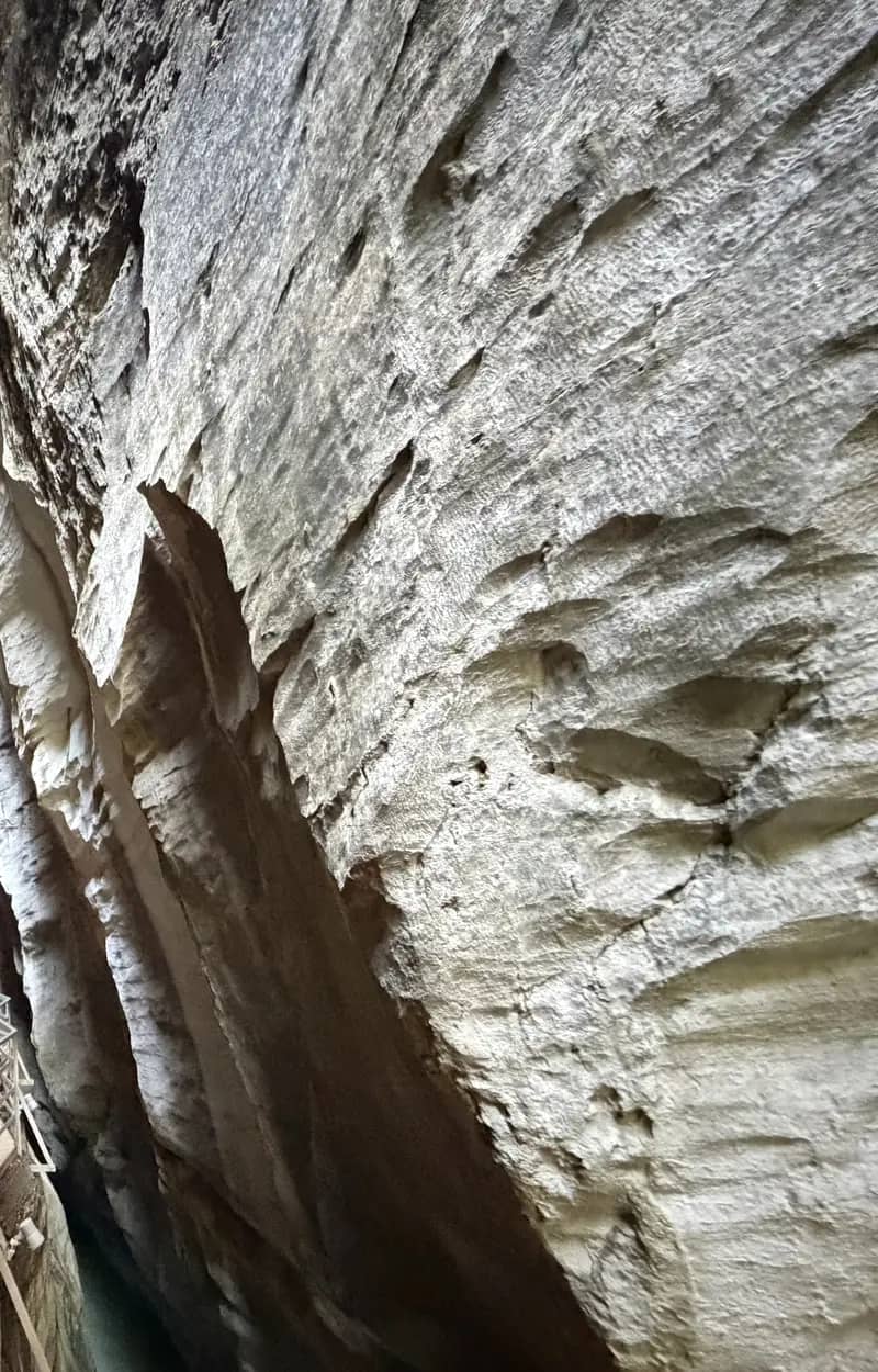 Wet limestone walls polished by water close in above the narrow railed walkway of the Aare Gorge in August