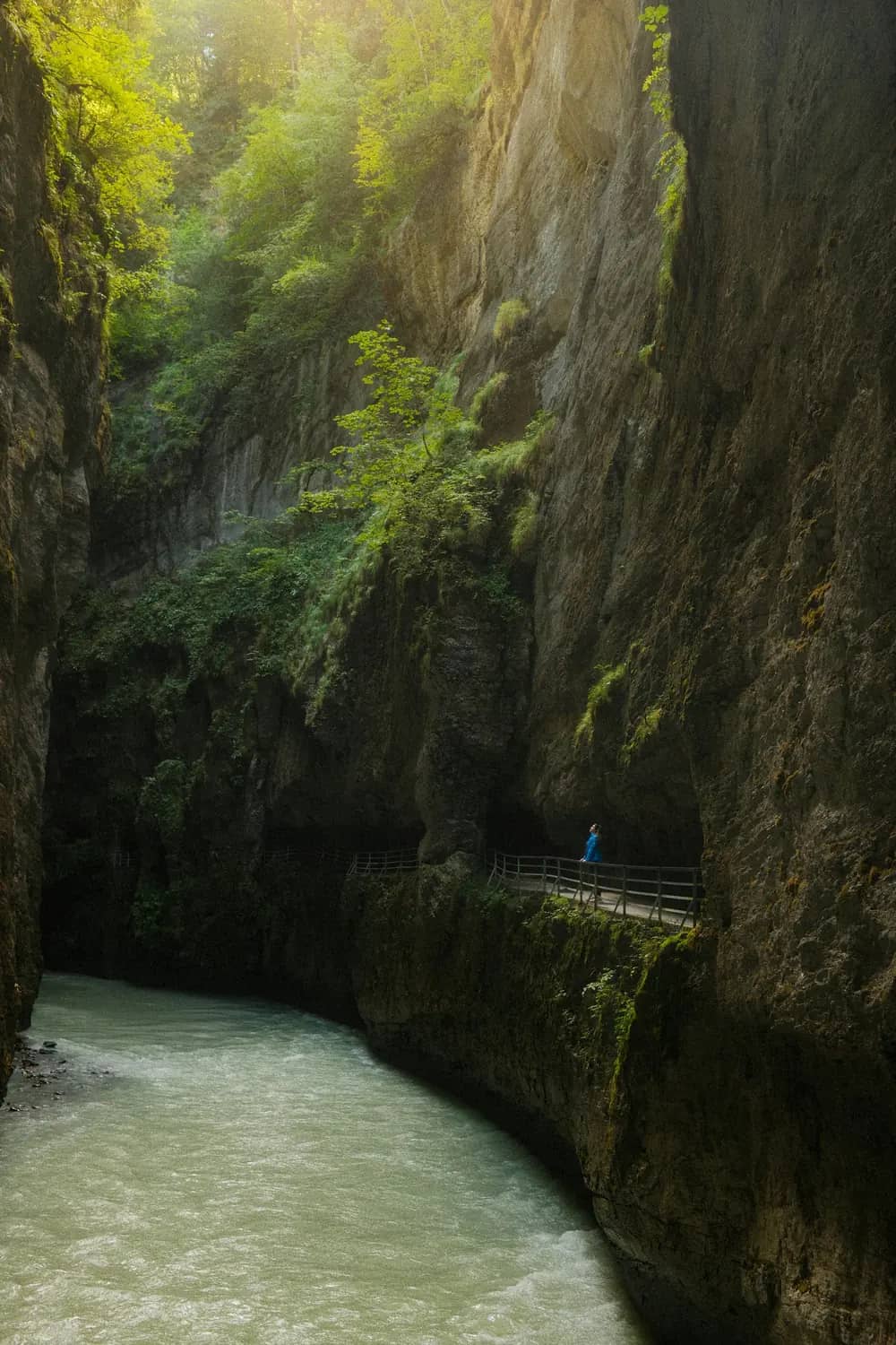 Walker on the ledge path high above the churning Aare, sunlight falling on green trees at the top of the gorge