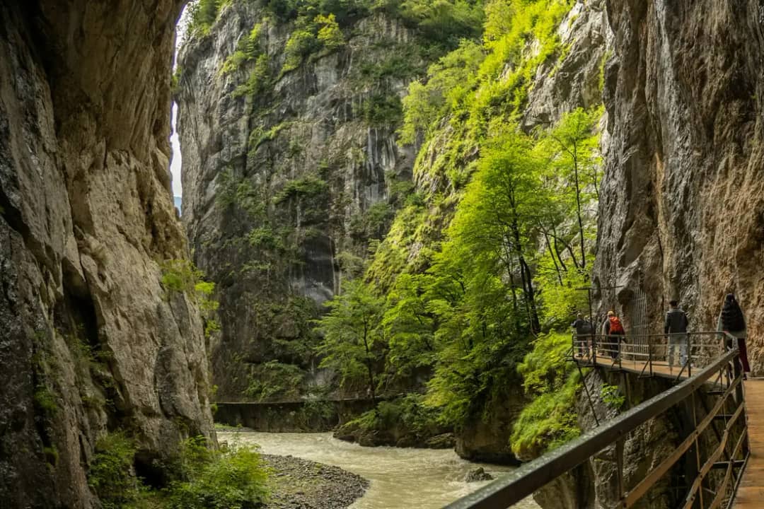 Hikers on the wooden walkway beside the Aare under sunlit green cliffs near the west end of the Aare Gorge