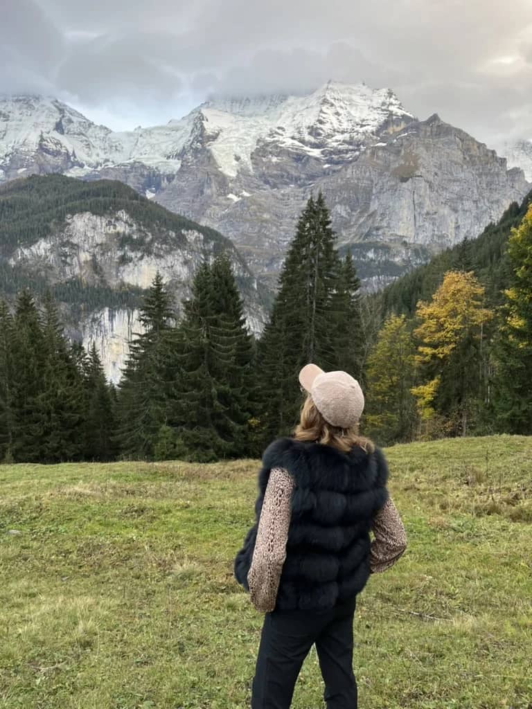 Autumn larches and firs below the snowy Jungfrau massif, seen from a meadow above Lauterbrunnen in mid October