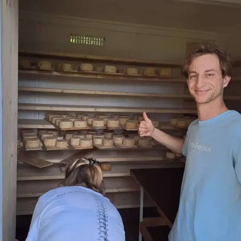 Jeune fromager à la porte d'une petite cave d'affinage garnie de fromages de chèvre et d'alpage, Oberland bernois