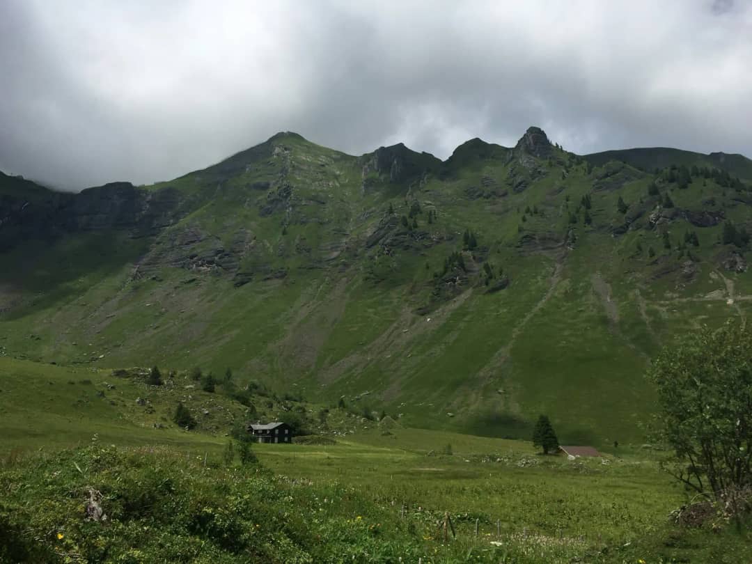 Prairies alpines vertes et ferme en bois isolée sous des crêtes herbeuses au-dessus de Gimmelwald, ciel d'été