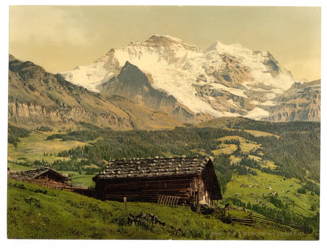 Historic photochrom of a wooden alpine hut on the Wengen meadows below the snow-covered Jungfrau massif