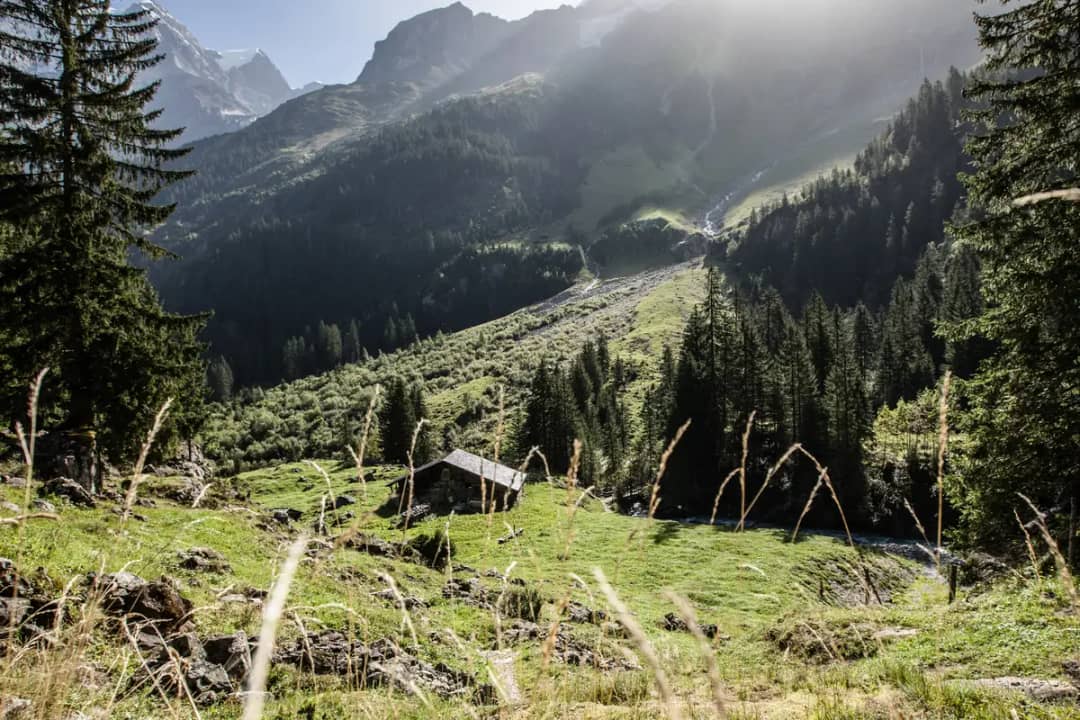 Un chalet d'alpage isolé en bois dans une clairière ensoleillée près de Trachsellauenen, forêt derrière