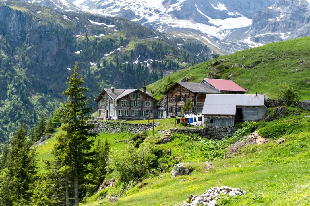 L'auberge d'Obersteinberg et ses bâtiments en bois sur un versant vert, sous les glaciers de Lauterbrunnen