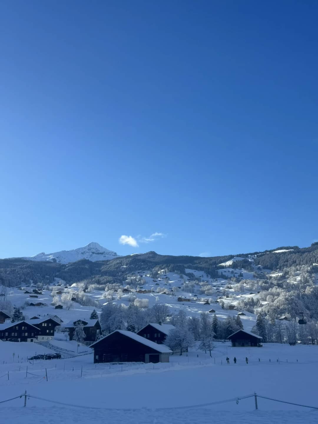 Grindelwald village under snow and a blue January sky, where the Big Pintenfritz sled run ends