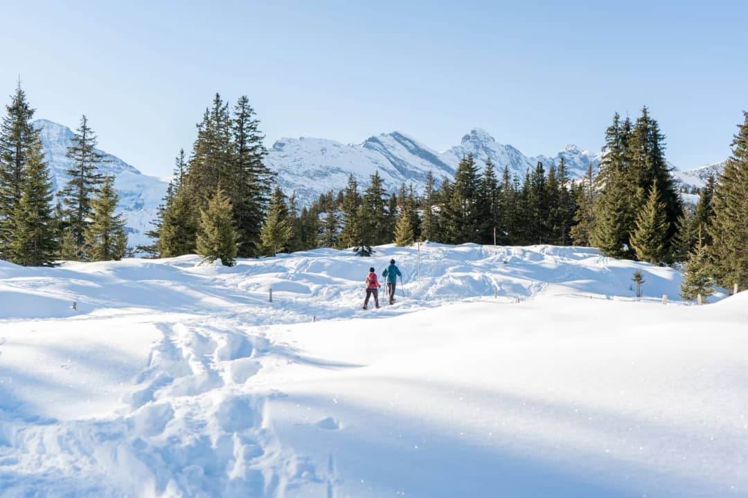 Two snowshoers following a packed track on the Chänelegg Trail above Mürren, where Pierre first went on his own