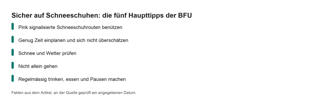 Merkblatt: fünf BFU-Tipps für sicheres Schneeschuhwandern, markierte Routen, Zeit, Wetter, Begleitung, Pausen