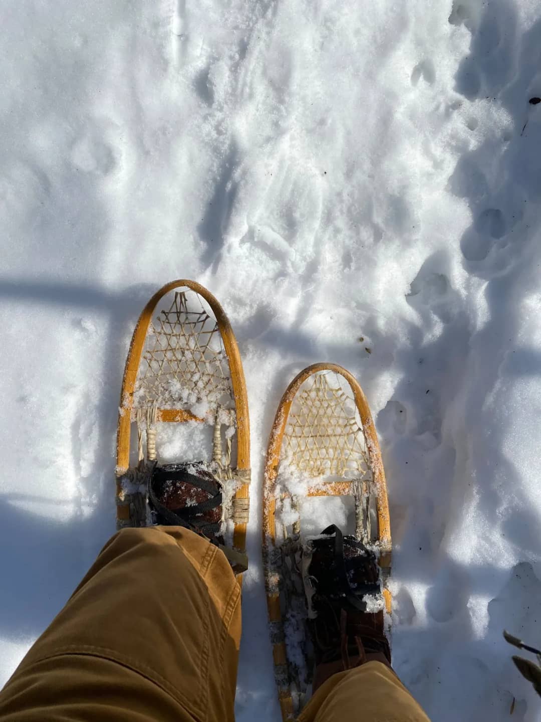 View from above of two snowshoes and a hiker's boots in fresh powder snow, set apart on a sunny winter day