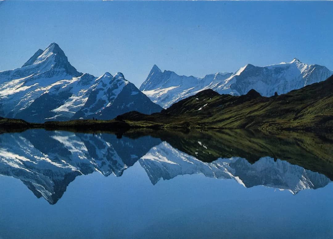 Bachalpsee an einem windstillen Morgen, Schreckhorn und verschneite Gipfel spiegeln sich im ruhigen Wasser