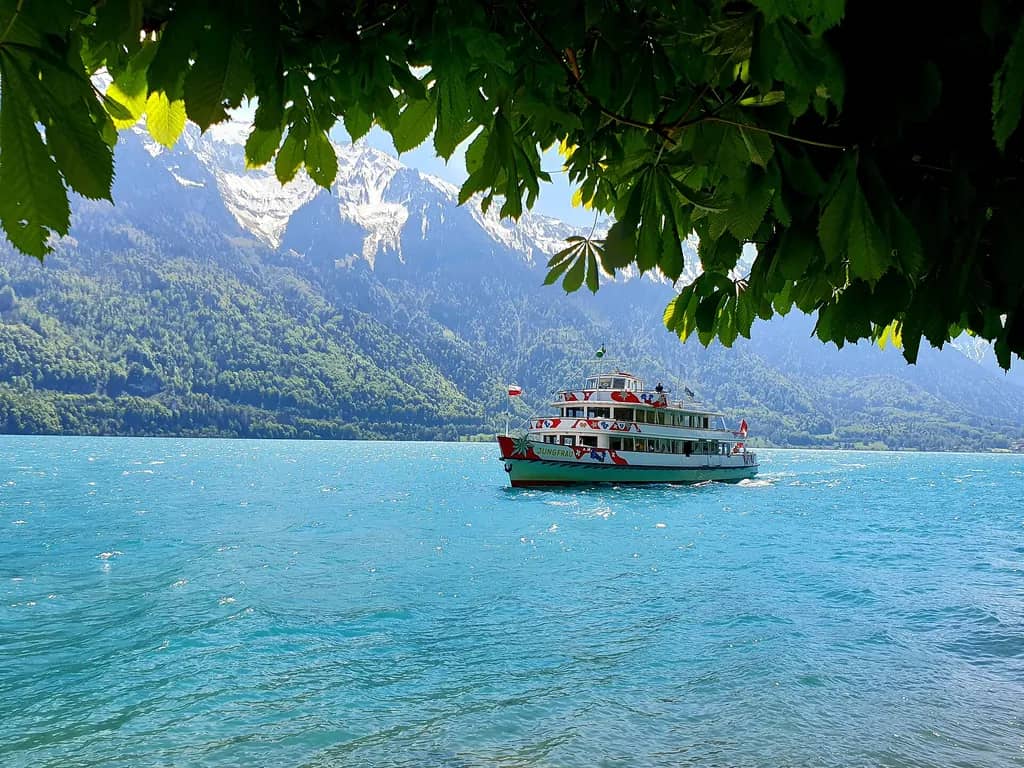 Kursschiff auf dem türkisfarbenen Brienzersee vor schneebedeckten Bergen, von Baumblättern eingerahmt