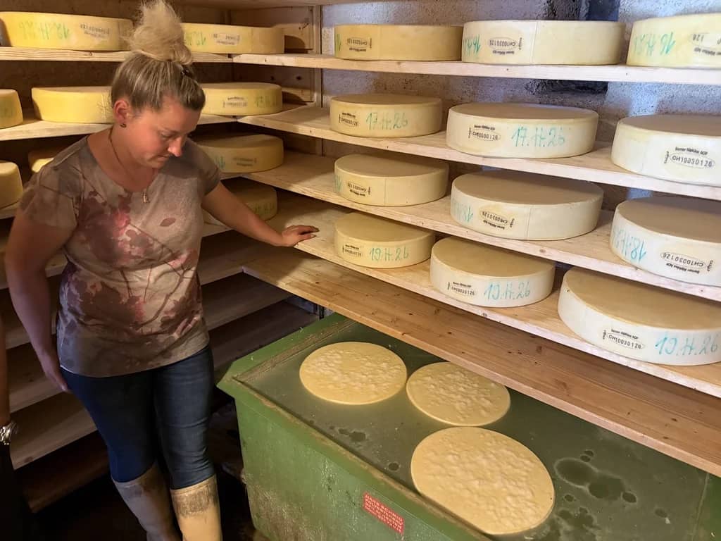 Cheesemaker beside wooden shelves of dated cheese wheels in a Justistal cellar, fresh wheels resting below