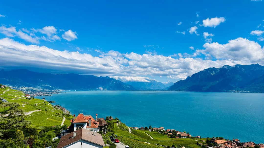 Vignes de Lavaux descendant vers le lac Léman près d'une villa au toit rouge, Alpes de l'autre côté du lac