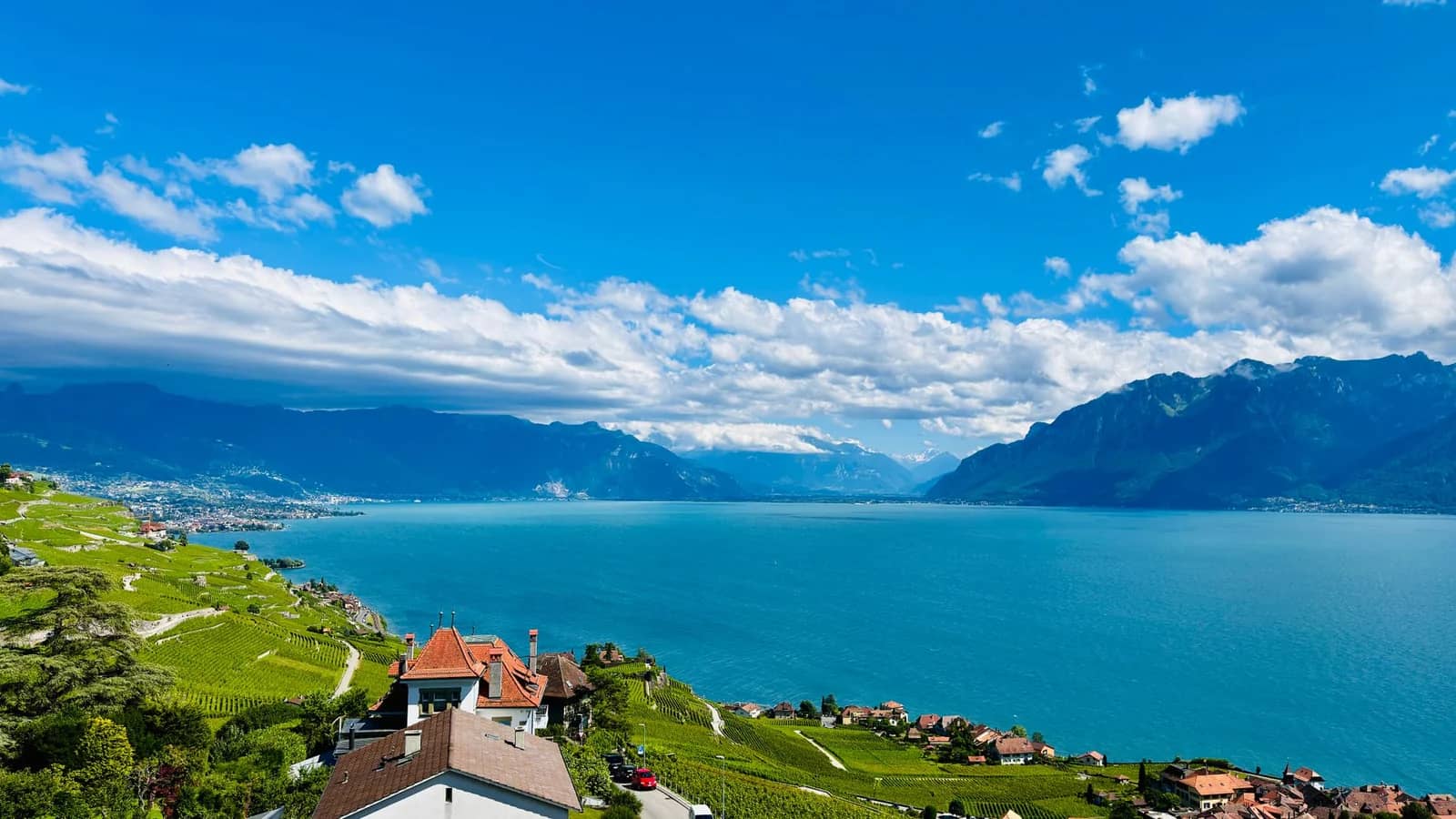 Meilleures régions viticoles de Suisse : Lavaux et Spiez