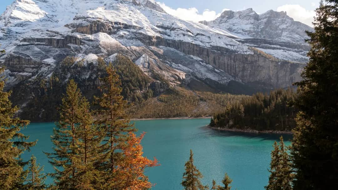 Oeschinensee im Herbst, türkisfarbenes Wasser unter frisch verschneiten Blüemlisalp-Felsen, orange Lärchen