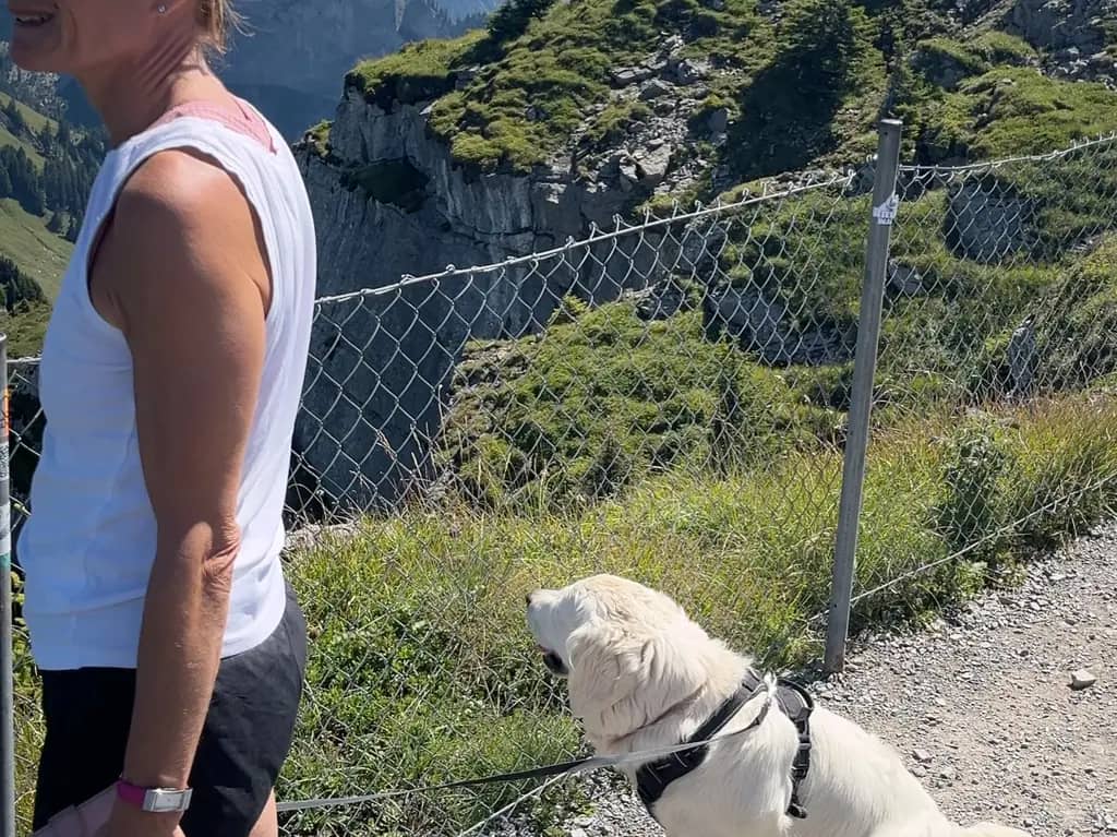 Randonneuse et son chien blanc en laisse le long d'une clôture sur le sentier de Schynige Platte, rochers