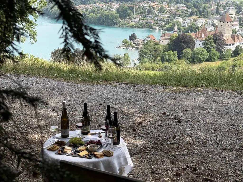 Mesa de cata con vinos de Spiez, queso, pan y uvas en una terraza de grava sobre la bahía y el castillo