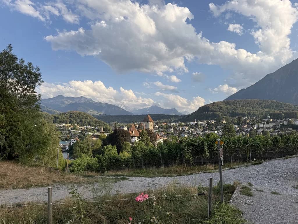 El castillo y el pueblo de Spiez vistos desde un camino entre viñas una tarde de verano, cepas delante