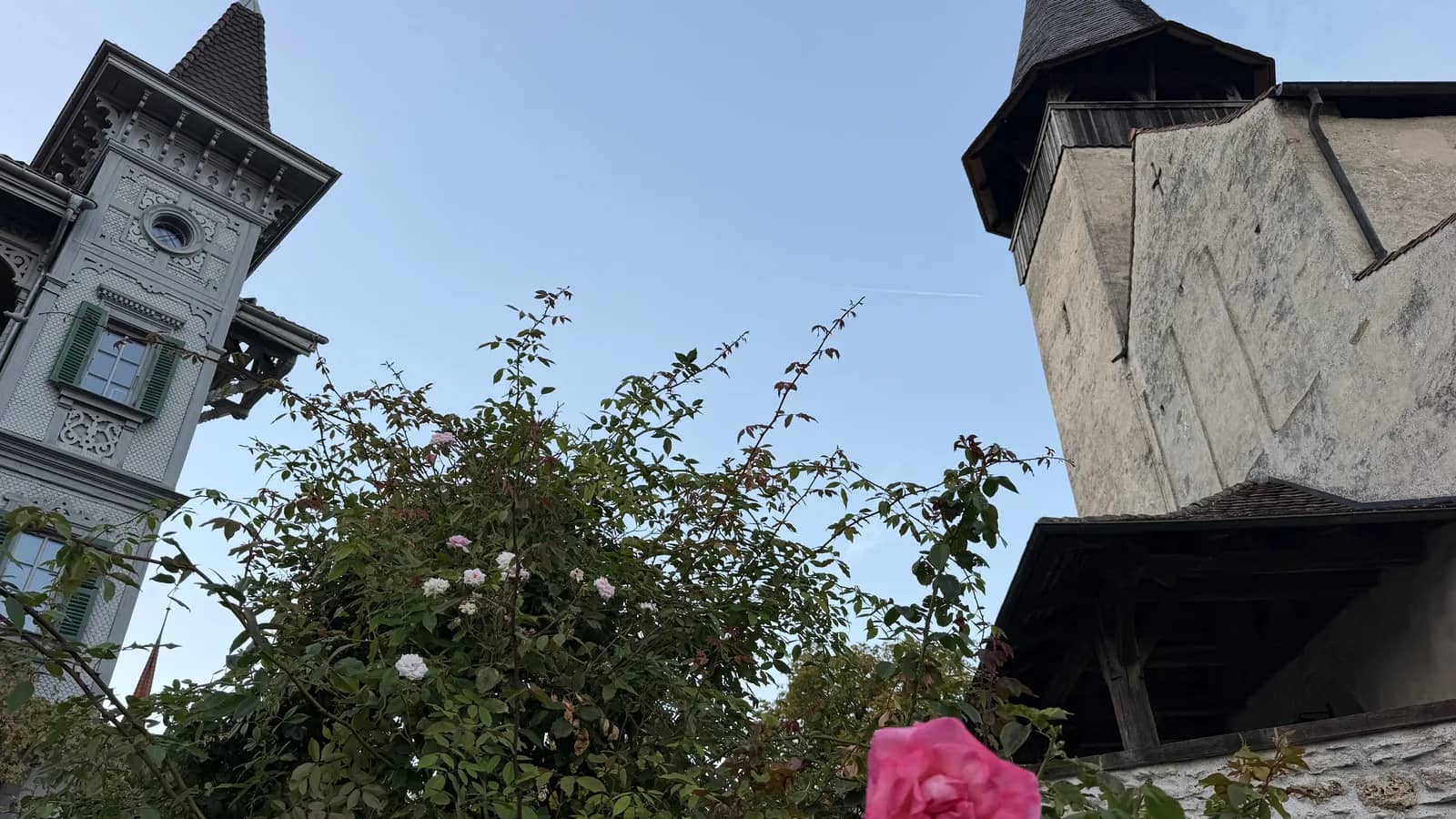 Dégustation de vin à Interlaken: 6 options réelles
