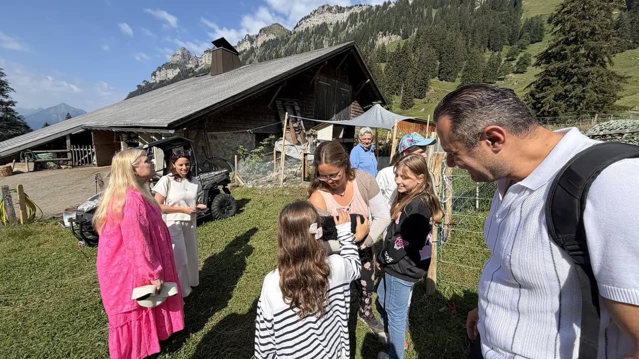 Fermes d'alpage en Suisse: les meilleures visites