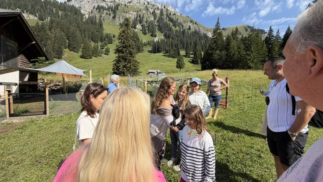 Farm Tour guests gathered in a sunny Justistal meadow around a girl holding a small animal, spruce behind